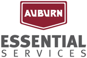 AES logo