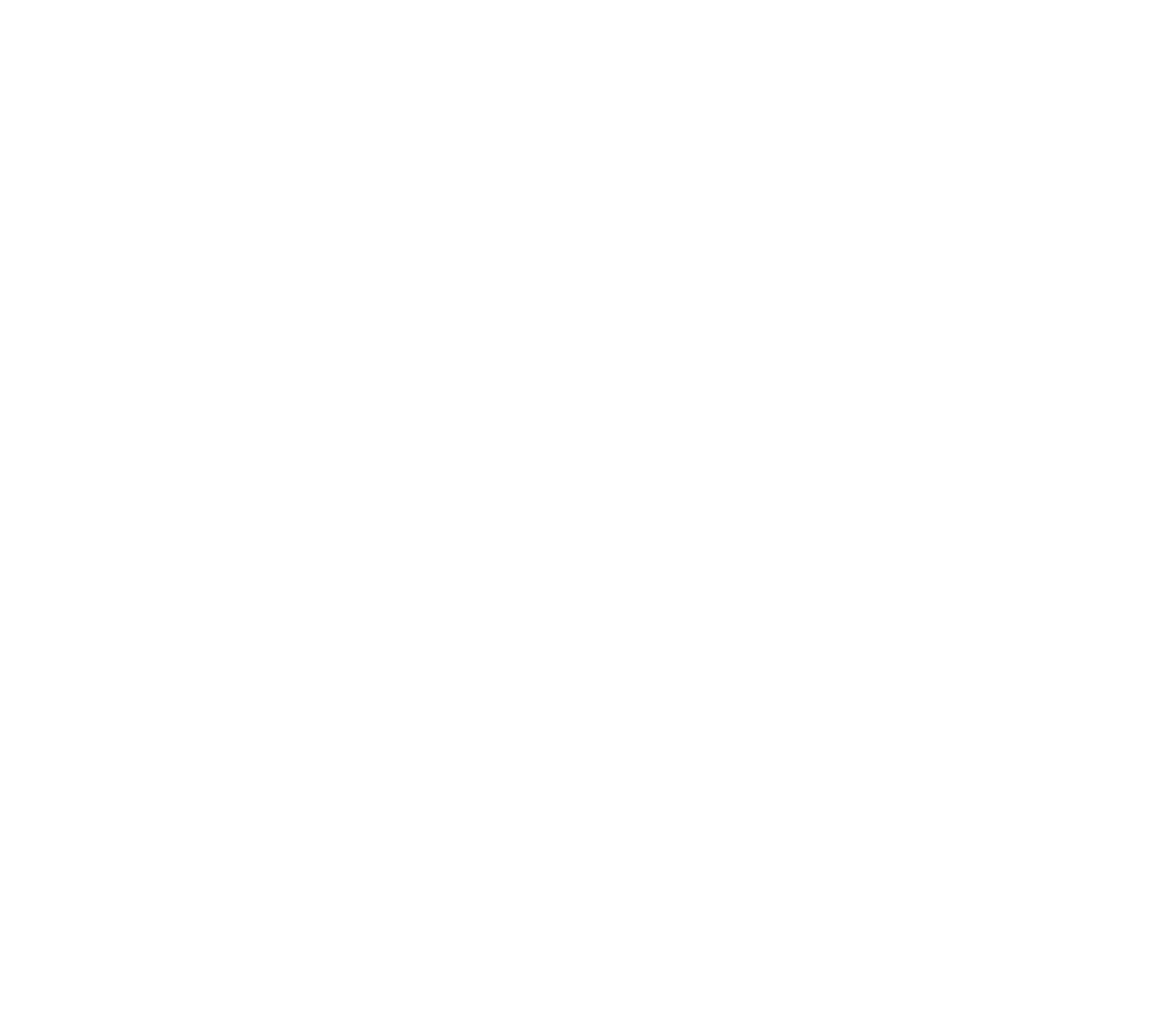 JSI_logo_White JSI_logo_White