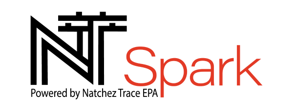 nt spark logo