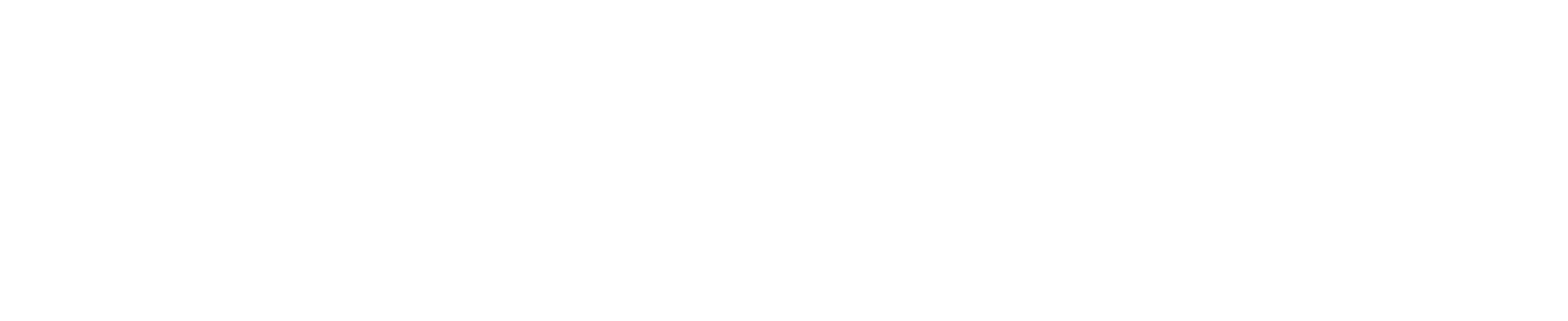 LogicomUSA_logo_white_web